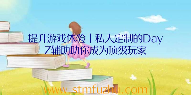 提升游戏体验|私人定制的DayZ辅助助你成为顶级玩家